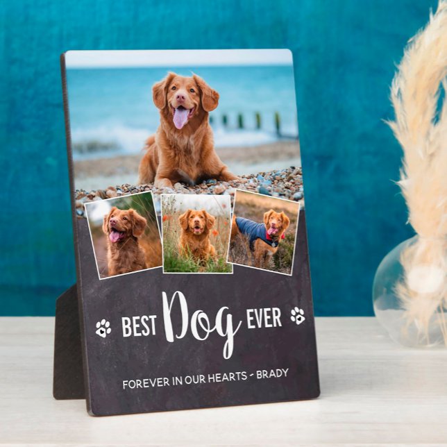 Best Dog Ever Modern Photo Collage Pet Memorial Plaque (Creator Uploaded)