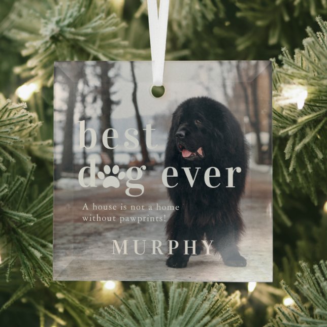 Best Dog Ever | Quote & Photo Gift Glass Ornament (Insitu)