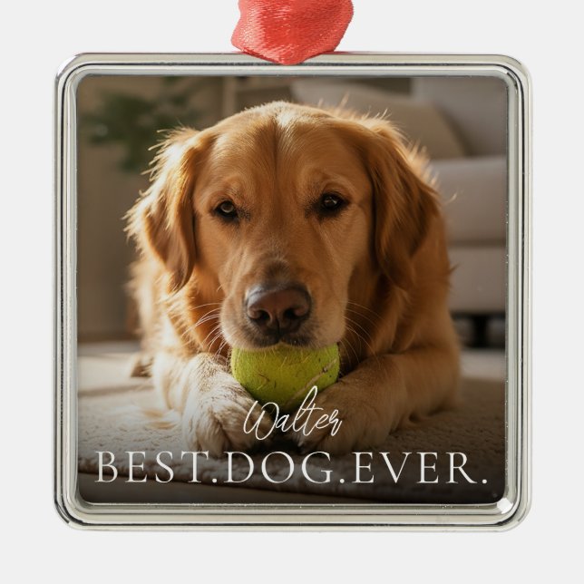 Best Dog Ever Your Pet Name And Photo  Metal Ornament (Front)