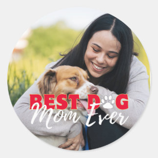 Best Dog Mom Ever Modern Custom Photo Classic Round Sticker