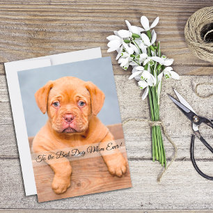 Best Dog Mom Ever Mother’s Day Custom Flat Card