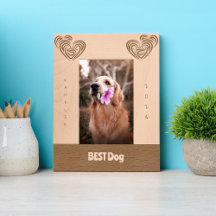 BEST Dog Wedding