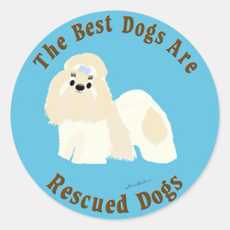 Best Dogs Are Rescued (Shih Tzu) Classic Round Sticker