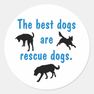 Best Dogs Sticker