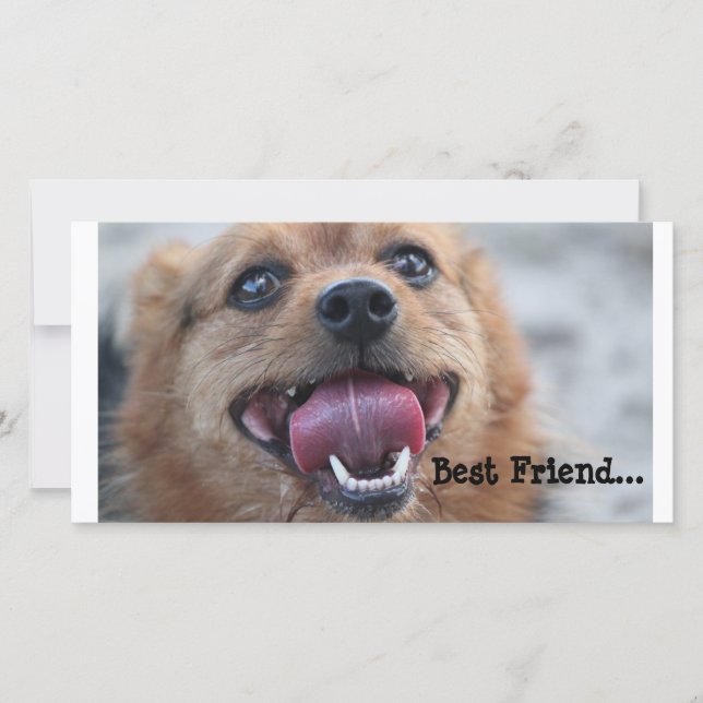 Best Friend (Front)