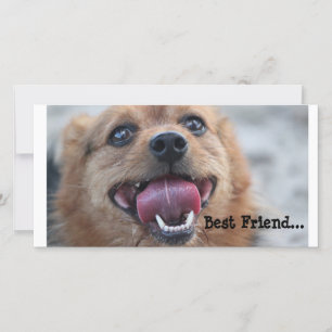 Best Friend