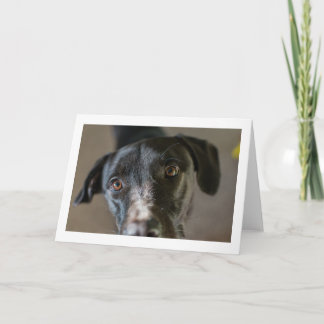 "Best Friend" blank folded greeting card