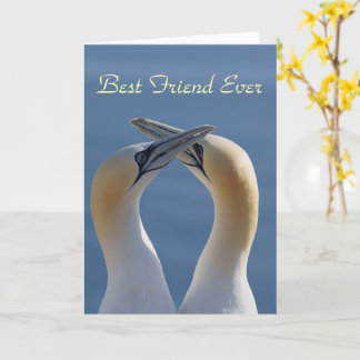 Best Friend Ever Bestie Photo Card