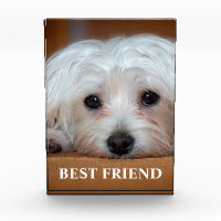 Best Friend