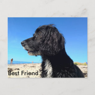 Best Friend Postcard