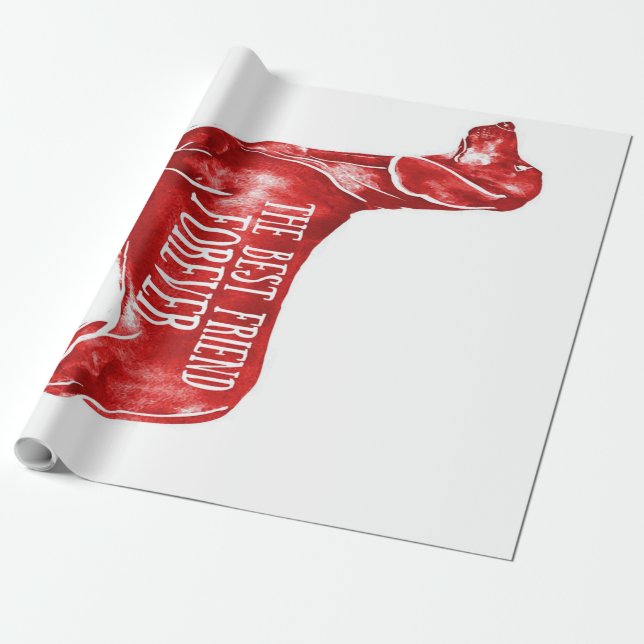 Best Friend Wrapping Paper (Unrolled)