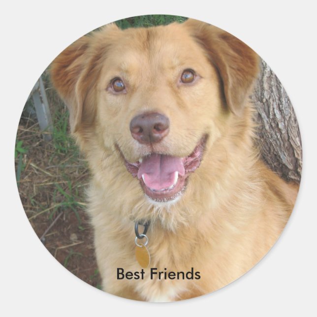 Best Friends2883 Classic Round Sticker (Front)