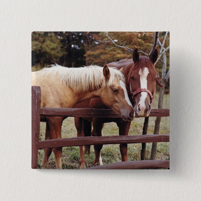 Best Friends 2 Inch Square Button (Front)