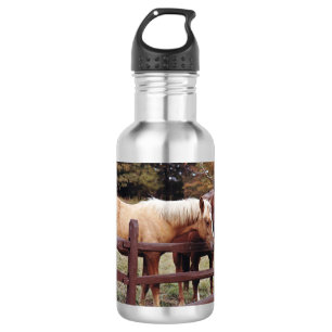 Best Friends Aluminum Water Bottle