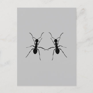 Best friends. Ant Couple Postcard