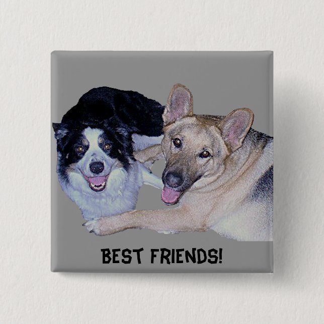 Best Friends Border Collie & German Shepherd 2 Inch Square Button (Front)