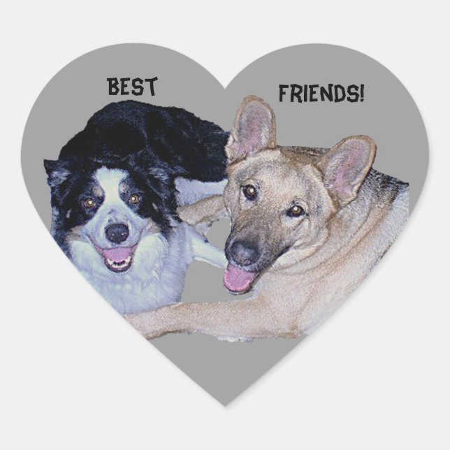 Best Friends Border Collie & German Shepherd Heart Sticker (Front)