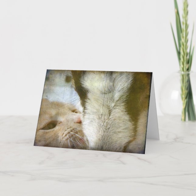 Best Friends Cat and Goat All Occasions  Card (Front)