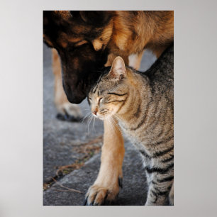 Best Friends- Cat & German Shepherd  Print