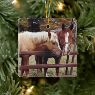 Best Friends Ceramic Ornament