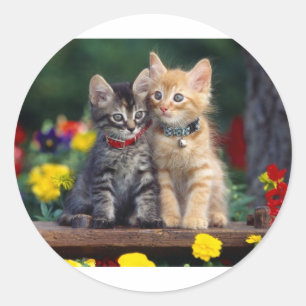 Best Friends Classic Round Sticker