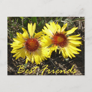 Best Friends Colorado Wild Flowers Post Card