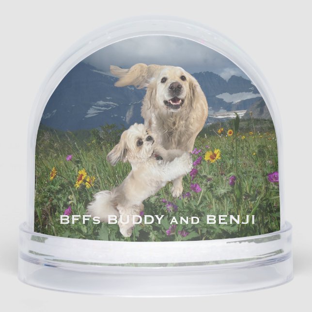 Best Friends Deux Chiens dans le champ des Fleurs  (Avant)