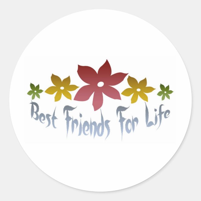 Best Friends For Life Classic Round Sticker (Front)
