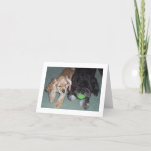 BEST FRIENDS FOREVER BIRTHDAY WISHES FROM PUPS CARD