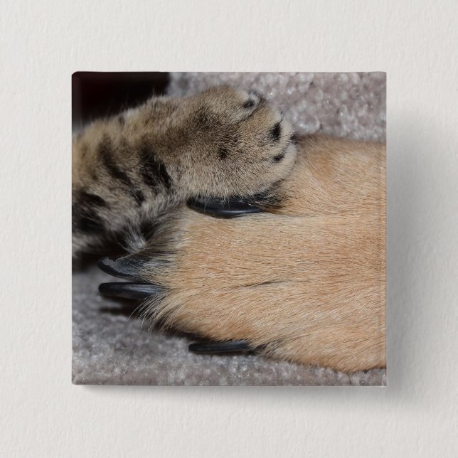 Best Friends Forever by Shirley Taylor 2 Inch Square Button (Front)
