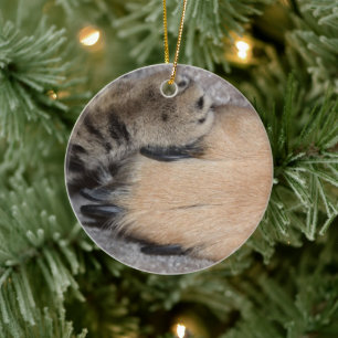 Best Friends Forever by Shirley Taylor Ceramic Ornament