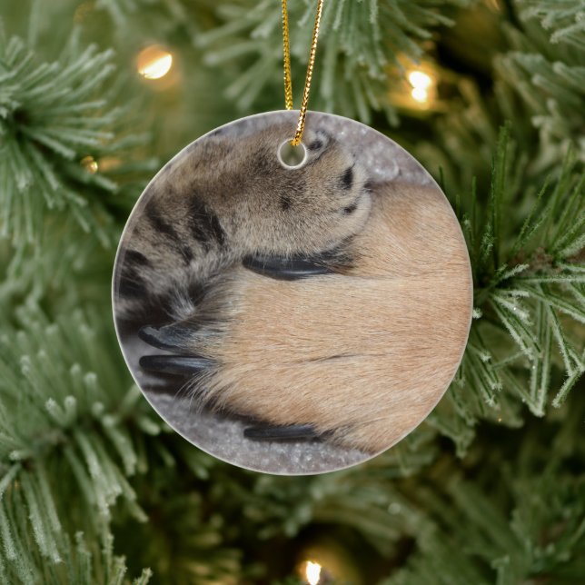Best Friends Forever by Shirley Taylor Ceramic Ornament (Tree)