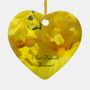 Best Friends Forever! gifts ornaments Thank You!