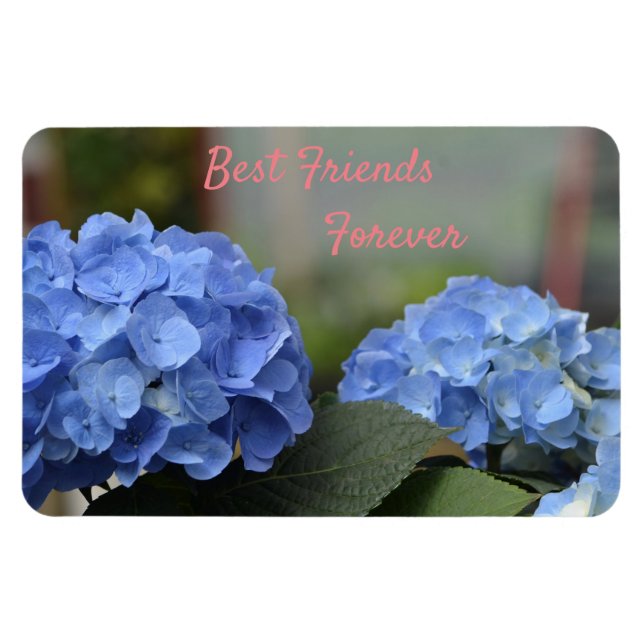 Best Friends Forever Hydrangeas Magnet (Horizontal)