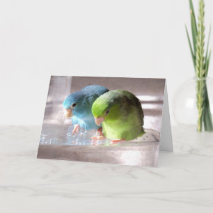 Best Friends Forever Parrotlet Birds Greeting Card