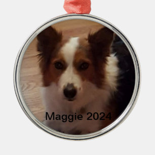 Best Friends Forever Personalized Pet Ornaments 