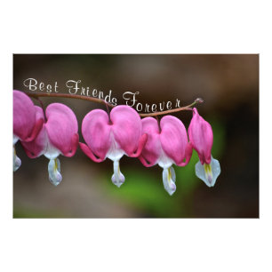 Best Friends Forever Photo Print