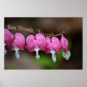 Best Friends Forever Poster