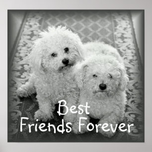 Best Friends Forever Poster Print