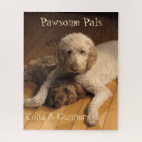 Best Friends Forever: The Goldendoodle Duo