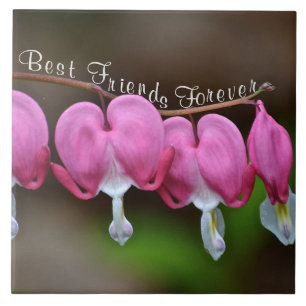 Best Friends Forever Tile