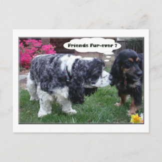 Best Friends Fur-ever Postcard