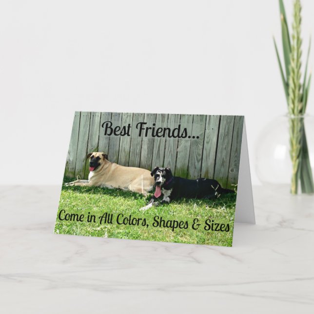 Best Friends Greeting Card for Big Dog Lovers (Front)