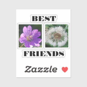 Best Friends Image Template