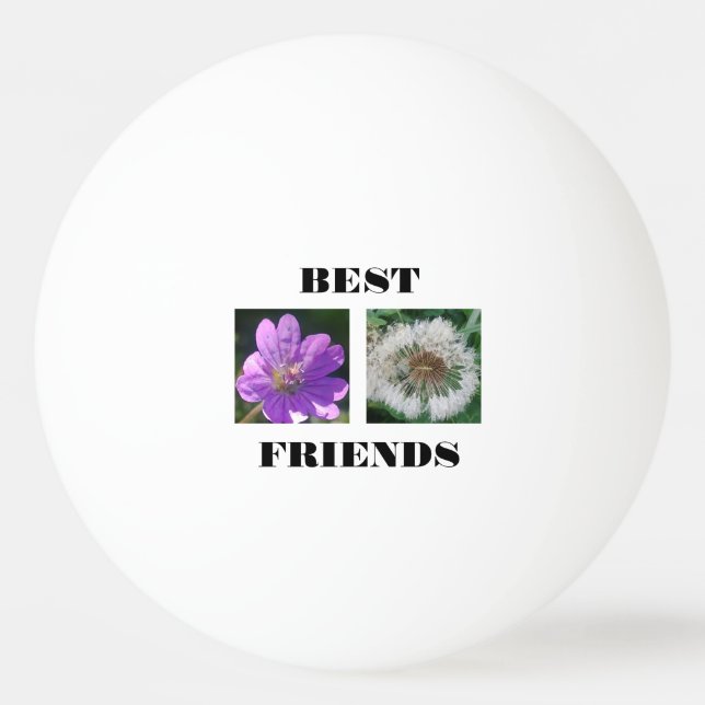 Best Friends Image Template Ping Pong Ball (Front)