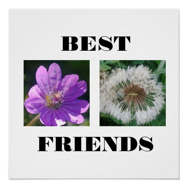 Best Friends Image Template Poster (Front)