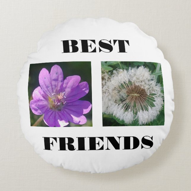 Best Friends Image Template Round Pillow (Front)