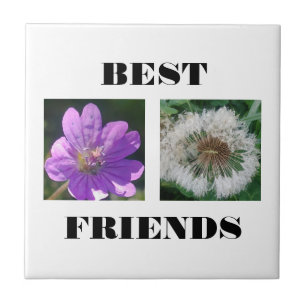 Best Friends Image Template Tile