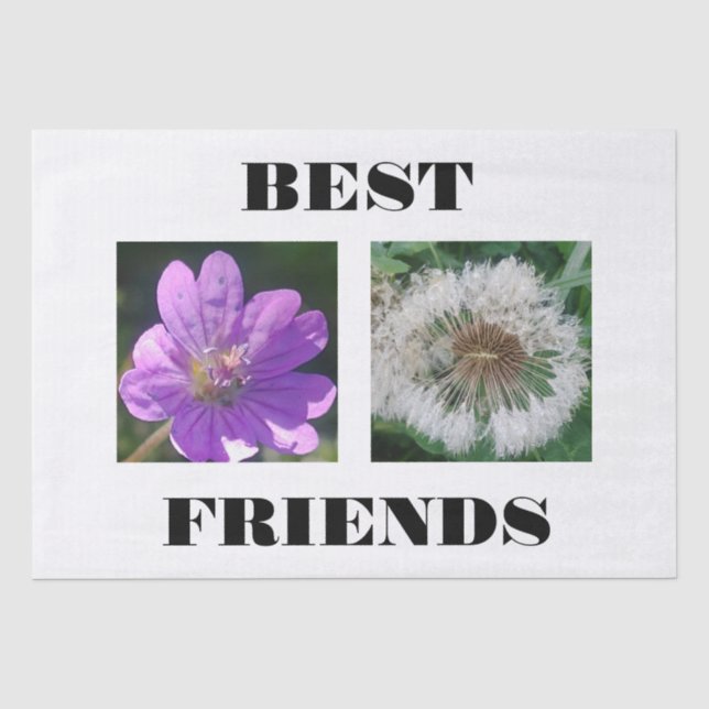 Best Friends Image Template Tissue Paper (Front)
