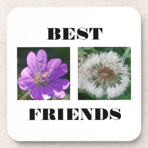 Best Friends Image Template Trivet Coaster